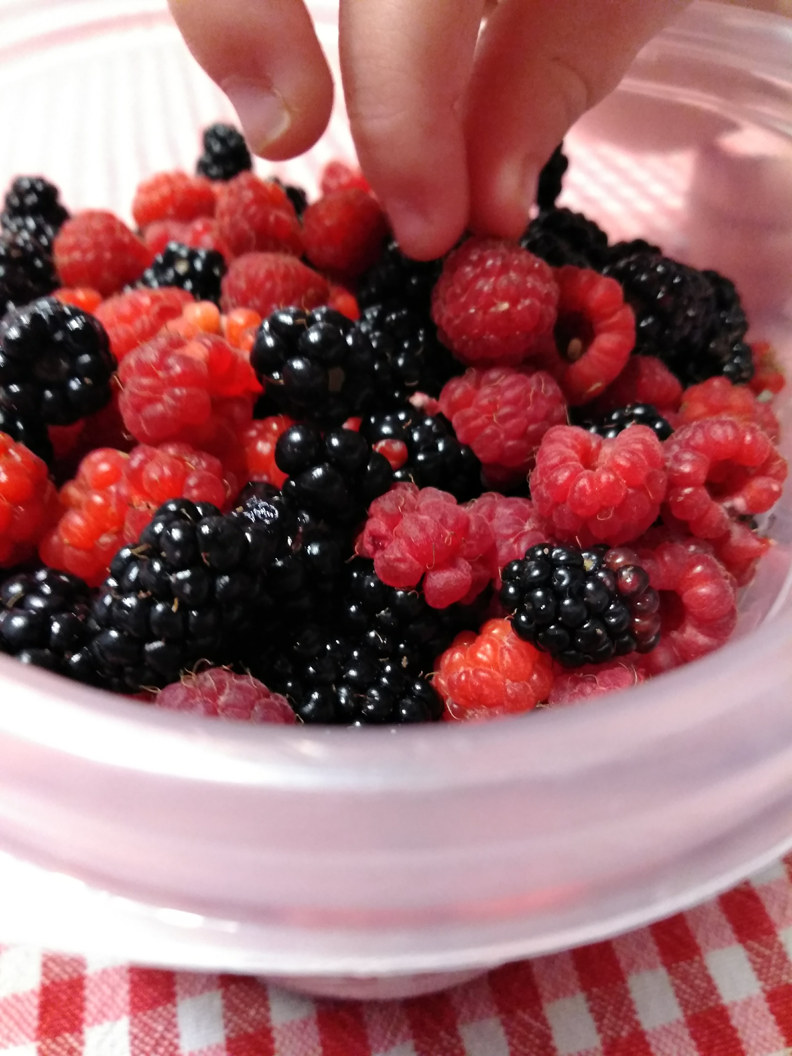 img_20180729_1827031