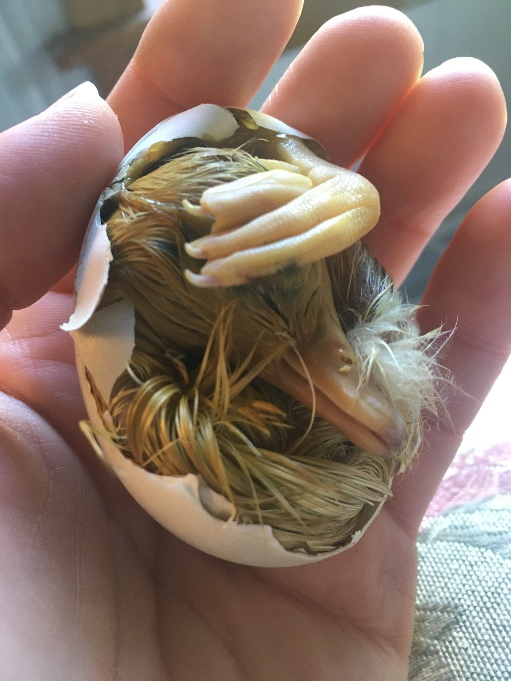 A Day In the&nbsp;Life