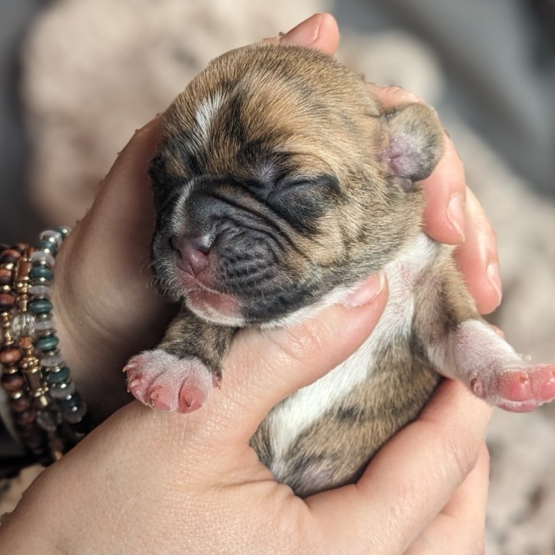 Habits of a Disorganized&nbsp;Homemaker