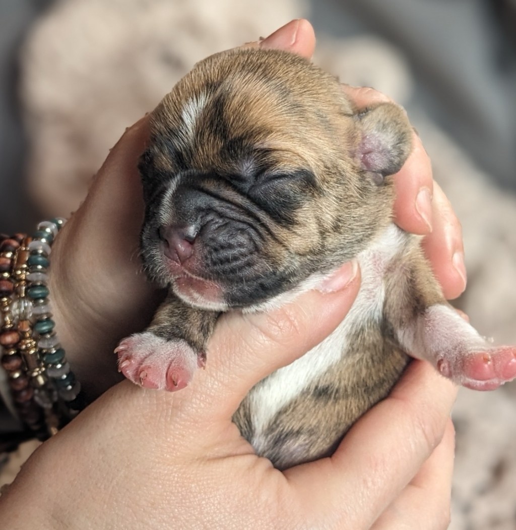 Habits of a Disorganized&nbsp;Homemaker